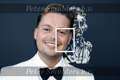 Amsterdam 2 juni 2025
Uitreiking Buma prijzen in de schouwburg van Amsterdam. Robert v Hemert kwam met zijn vrouw