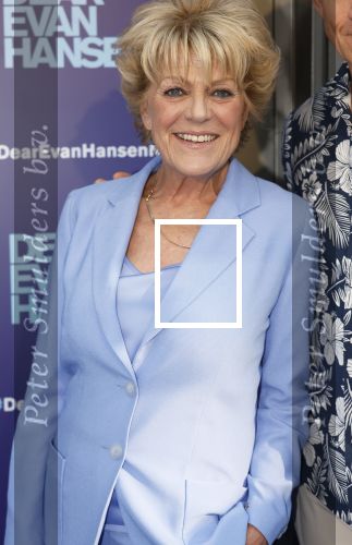 Amsterdam 16 juni 2025
Premiere Dear Evan Hansen in het deLaMar theater . Simone Kleinsma kwam met Paul Groot