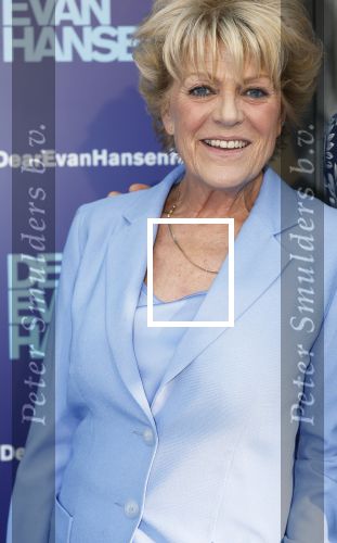 Amsterdam 16 juni 2025
Premiere Dear Evan Hansen in het deLaMar theater . Simone Kleinsma kwam met Paul Groot