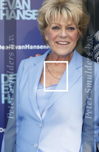 Amsterdam 16 juni 2025
Premiere Dear Evan Hansen in het deLaMar theater . Simone Kleinsma kwam met Paul Groot