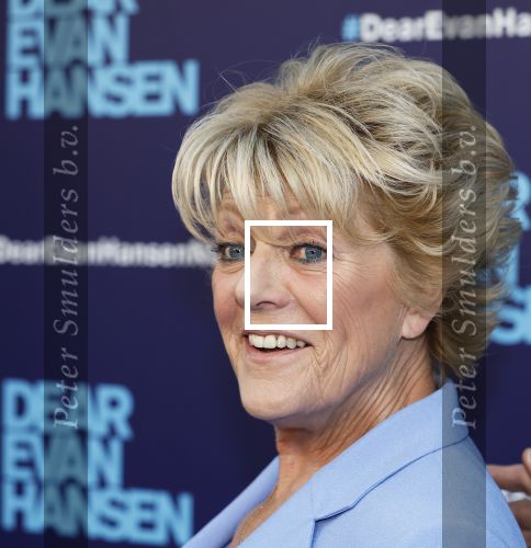 Amsterdam 16 juni 2025
Premiere Dear Evan Hansen in het deLaMar theater . Simone Kleinsma kwam met Paul Groot