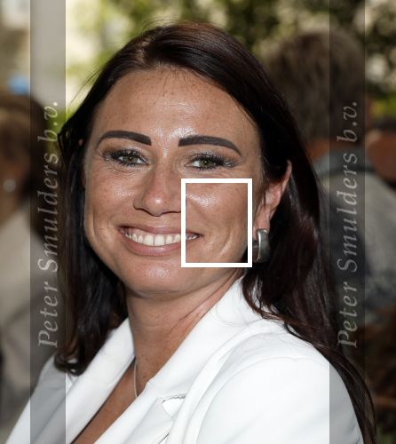 Amsterdam 5 juni 2025
Uiteiking talkies terras awards en presentatie Cover met daarop Nicolette v Dam . Event vond plaats bij Hotel Arena .