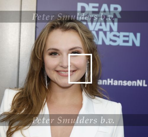 Amsterdam 16 juni 2025
Premiere Dear Evan Hansen in het deLaMar theater . Vajen v d Bosch