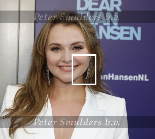 Amsterdam 16 juni 2025
Premiere Dear Evan Hansen in het deLaMar theater . Vajen v d Bosch