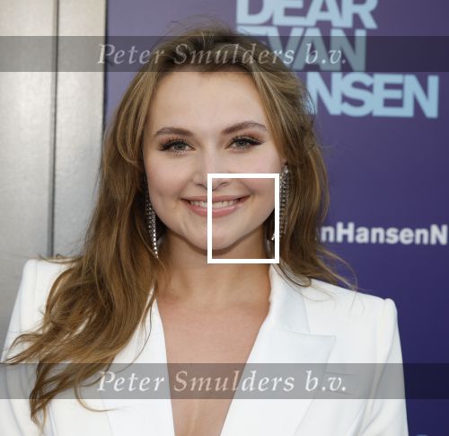 Amsterdam 16 juni 2025
Premiere Dear Evan Hansen in het deLaMar theater . Vajen v d Bosch