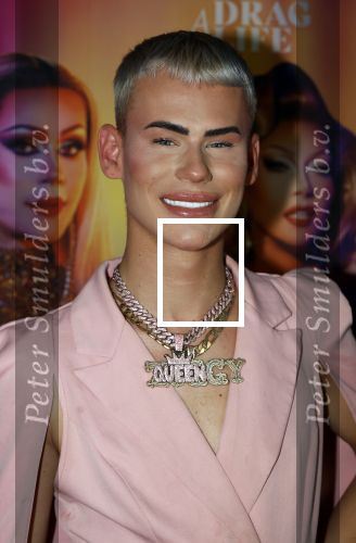 Amsterdam 19 juni 2025
Premiere a drags life bij pathe de munt . Aanwezige hoofdrolspelers zijn Miss Envy Peru en Janey Jacke . Ziggy Krassenberg