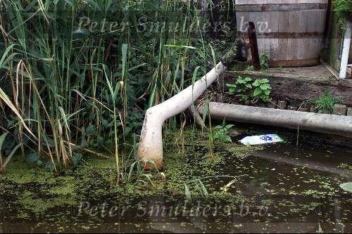 Route van Vinkeveen naar Amsterdam via Ouderkerk a/d Amstel
24 JULI 2002
Been met schaats in het water  Sloepenroute