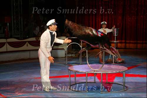 Amsterdam 9 juli 2002
Premiere Circus Renz
Zeehond