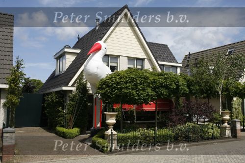 Uitgeest 5  juni 2006
Ooievaar voor het huis van rafael v d Vaart en Sylvie Meis na geboorte van hun zoon Damian