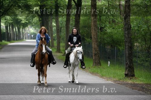 Bosch e Duin 3 juni 2007
Belinda Meuldijk en Thierry Duval paardrijden vanuit thuis.