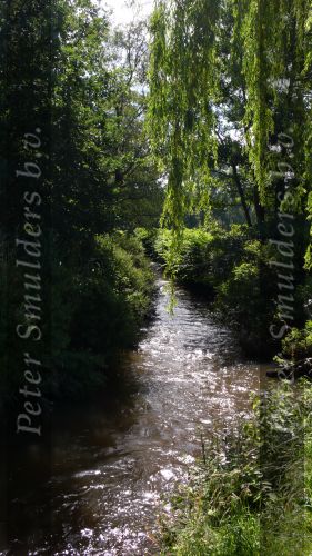 De Dommel