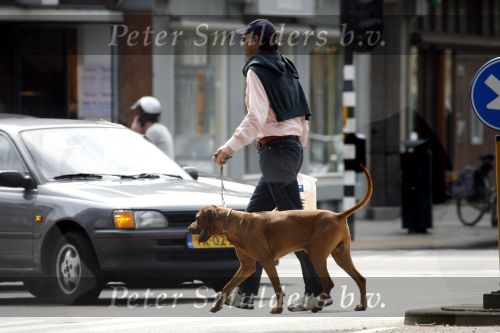 Amsterdam 30 mei 2007
Edwin de Roy v Zuydewijn met zijn hond op straat.