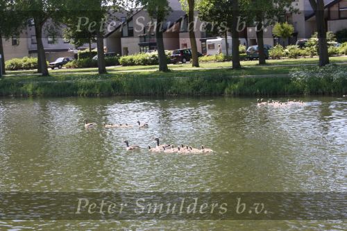 Almere, 11 Mei 2008
Almere binnenstad met zijn vaarwaters dwars door de stad
Voormalige Zuiderzee