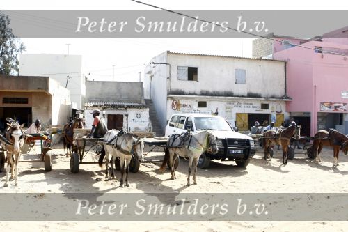 Dakar 23 maart 2008
Straatbeeld in Dakar waar de heroes legend eindigt. 
Peter Smulders bv