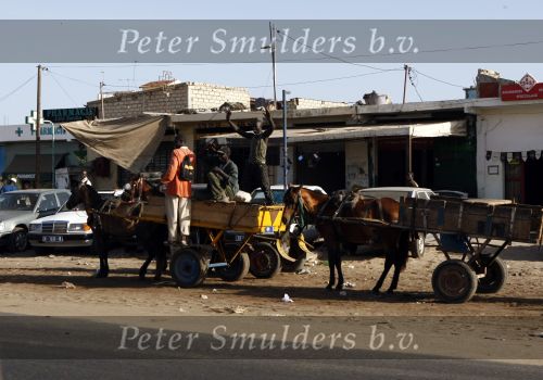 Dakar 23 maart 2008
Straatbeeld in Dakar waar de heroes legend eindigt. 
Peter Smulders bv