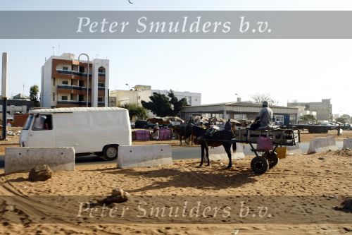 Dakar 23 maart 2008
Straatbeeld in Dakar waar de heroes legend eindigt. 
Peter Smulders bv