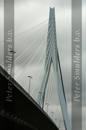 Rotterdam, 10 Februari 2008
Erasmusbrug