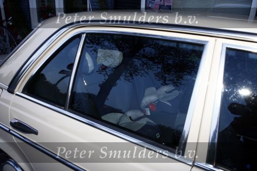 Amsterdam 8 mei 2009
Femke Halsema heeft een hele oude mercedes gekocht waar ze geen wegenbelasting voor hoeft te betalen en die heel slecht voor het milieu is.
Peter Smulders bv