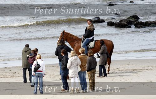 Schagen 17 april 2008
Opnames videoclip Gerard Joling met paarden op het strand. Geert Hoes en Wino Ontzigt zijn ook aanwezig.
Peter Smulders bv