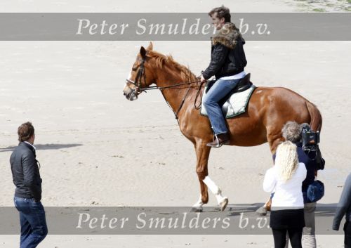 Schagen 17 april 2008
Opnames videoclip Gerard Joling met paarden op het strand. Geert Hoes en Wino Ontzigt zijn ook aanwezig.
Peter Smulders bv