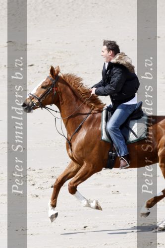 Schagen 17 april 2008
Opnames videoclip Gerard Joling met paarden op het strand. Geert Hoes en Wino Ontzigt zijn ook aanwezig.
Peter Smulders bv