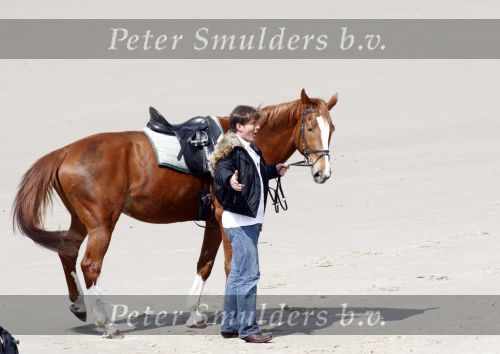Schagen 17 april 2008
Opnames videoclip Gerard Joling met paarden op het strand. Geert Hoes en Wino Ontzigt zijn ook aanwezig.
Peter Smulders bv