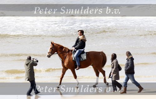 Schagen 17 april 2008
Opnames videoclip Gerard Joling met paarden op het strand. Geert Hoes en Wino Ontzigt zijn ook aanwezig.
Peter Smulders bv