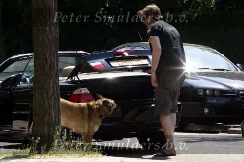 Amsterdam 10 mei 2008
Gijs Staverman met zijn hond in BMW cabrio en wandelend op straat met honden kussen