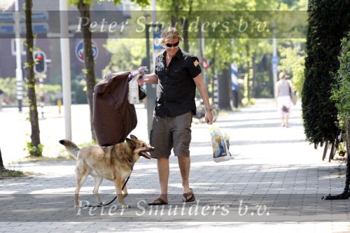 Amsterdam 10 mei 2008
Gijs Staverman met zijn hond in BMW cabrio en wandelend op straat met honden kussen