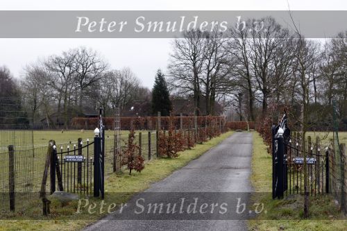 Soest 20 februari 2009
Huis en oprit van Herman v Veen in Soest.
Peter Smulders bv