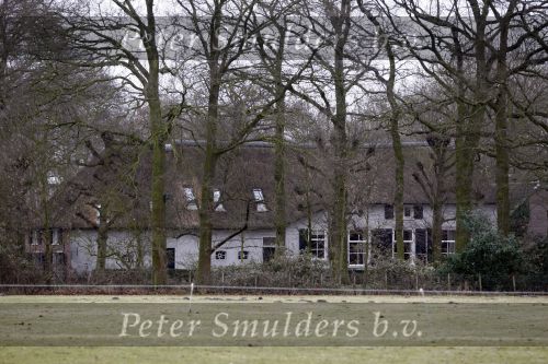Soest 20 februari 2009
Huis en oprit van Herman v Veen in Soest.
Peter Smulders bv
