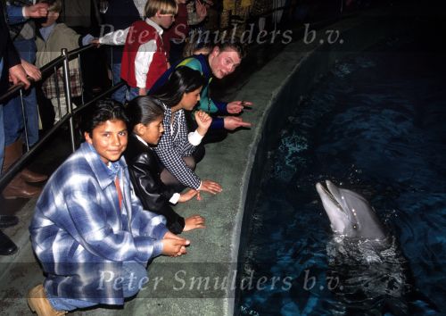 Harderwijk 1 April 1995
 Jordy Breukhoven en Shanna Breukhoven bij Dolfinarium