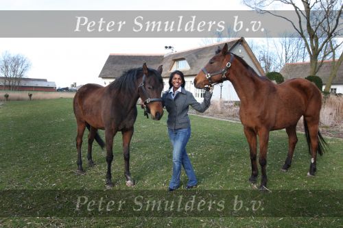 Aardenburg, 25 Maart 2009
Joyce Ultee met haar paarden
100 Euro aktie.
Foto Peter Smulders BV