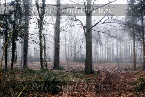 Lage Vuursche 13 februari 2008
Extra bewaking door Marechause bij Kasteel Drakenstein. Buiten het hek word een gebouw voor de Marechausee gebouwd. De bewoners van Lage Vuursche zijn er niet blij mee.
Peter Smulders bv