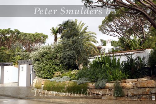 Vale do Lobo 24 februari 2008
Linda de Mol golfend met haar nieuwe vriend Jeroen Rietbergen op vale do lobo  waar Linda een huis heeft.