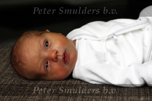 Breda 5 mei 2009
Marielle Bastiaanse met baby Willen en vriend thuis.
Peter Smulders bv
