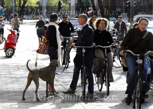 Amsterdam 11 mei 2009
Mart Visser met zijn hond fietsend in amsterdam.
Peter Smulders bv