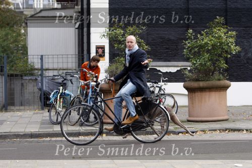 Amsterdam 15 oktober 2007
Mart Visser op zijn fiets met hond.