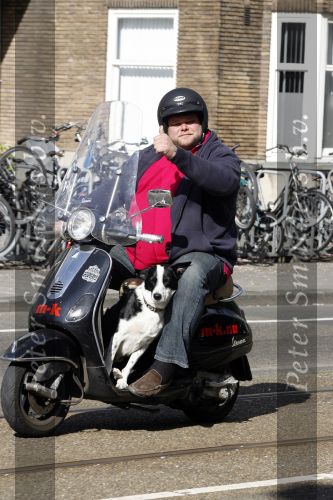 Amsterdam 22 april 2009
Menno Kohler op zijn vespa scooter met zijn hond.
Peter Smulders bv