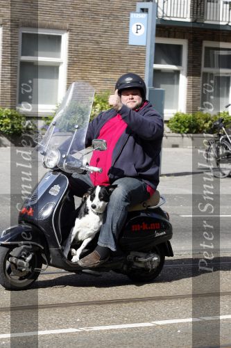 Amsterdam 22 april 2009
Menno Kohler op zijn vespa scooter met zijn hond.
Peter Smulders bv