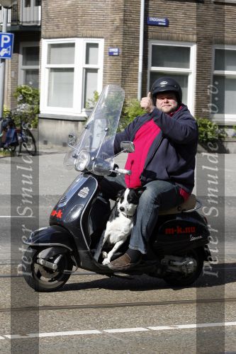 Amsterdam 22 april 2009
Menno Kohler op zijn vespa scooter met zijn hond.
Peter Smulders bv