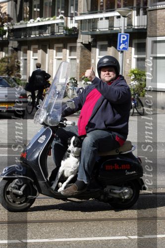 Amsterdam 22 april 2009
Menno Kohler op zijn vespa scooter met zijn hond.
Peter Smulders bv