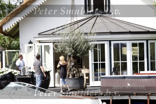 Breukelen 10 mei 2009
Jurgen Smit verrast op moederdag zijn vriendin Milika Peterzon met een 600 jaar oude olijfboom voor in hun nieuwe tuin. De boom moest met een kraanwagen over het huis getild worden.
Peter Smulders bv
