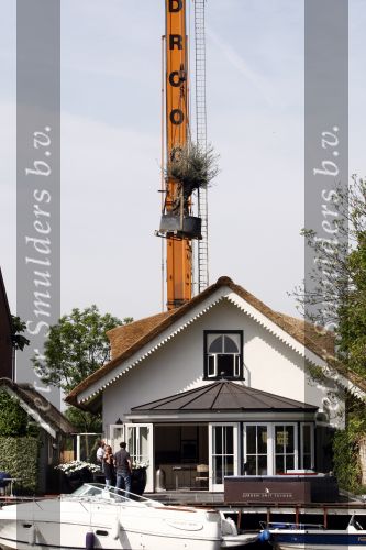 Breukelen 10 mei 2009
Jurgen Smit verrast op moederdag zijn vriendin Milika Peterzon met een 600 jaar oude olijfboom voor in hun nieuwe tuin. De boom moest met een kraanwagen over het huis getild worden.
Peter Smulders bv