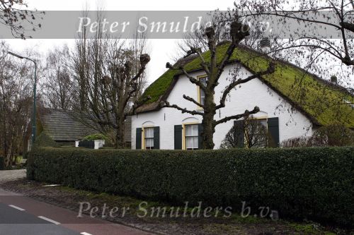 Breukelen 20 februari 2009
Huis van Paul v Vliet.
Peter Smulders bv