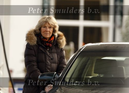 Wijk bij Duurstede 28 februari 2009
Prinses Irene staat te tanken.
Peter Smulders bv