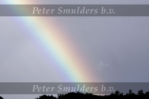Curacao 29 december 2008 t/m 9 januari 2009
Edwin  Anouk en Max Smulders op vakantie in curacao.regenboog
Peter Smulders bv