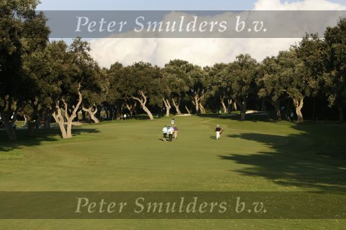 4 November 2007 Valderrama Golfclub ( Spanje )
Finaledag Volvo Masters Seizoen 2007
Robert Jan Derksen (38e en totaal verdiend 809.000 euro )