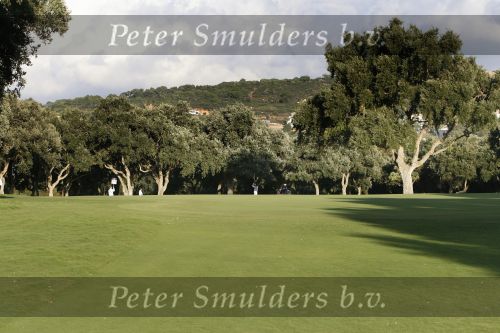 4 November 2007 Valderrama Golfclub ( Spanje )
Finaledag Volvo Masters Seizoen 2007
Robert Jan Derksen (38e en totaal verdiend 809.000 euro )