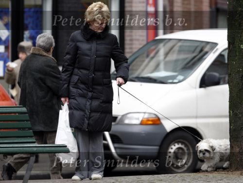 Amsterdam 14 januari 2009
Simone Kleinsma met Guus Verstraete en hond op de cornelis schuytstraat.
Peter Smulders bv
